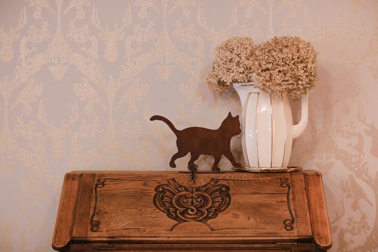 Les Chambres Du Chat Sainte-Cecile Екстер'єр фото