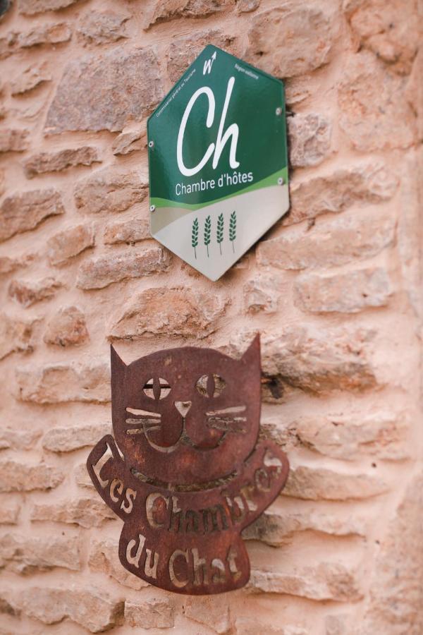 Les Chambres Du Chat Sainte-Cecile Екстер'єр фото